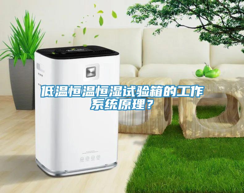 低溫恒溫恒濕試驗箱的工作系統(tǒng)原理？