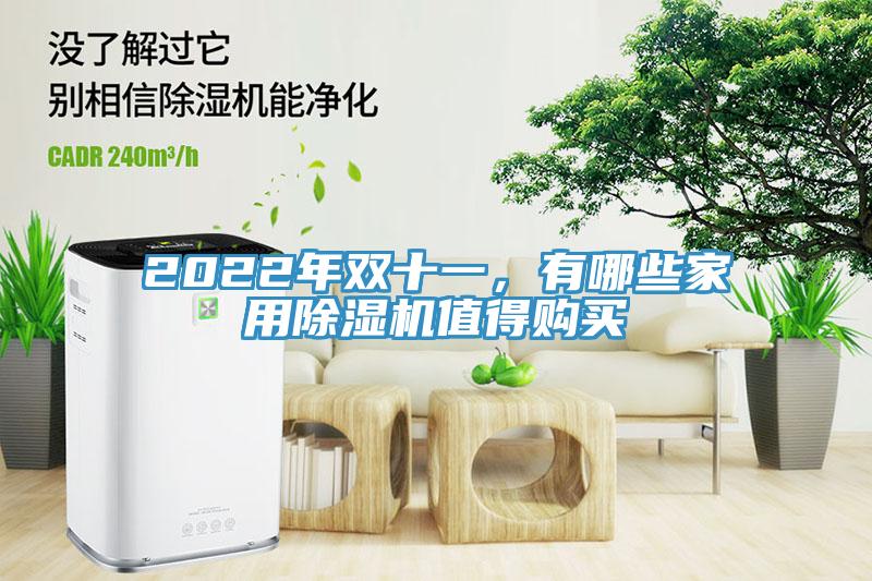 2022年雙十一，有哪些家用除濕機(jī)值得購(gòu)買(mǎi)