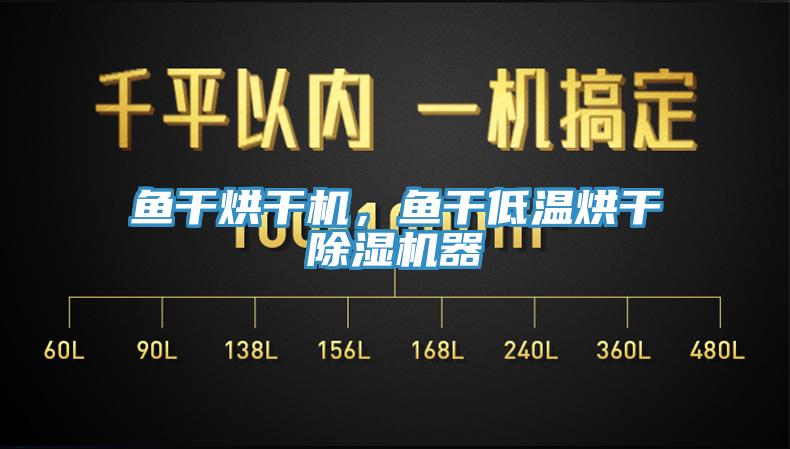 魚干烘干機(jī)，魚干低溫烘干除濕機(jī)器
