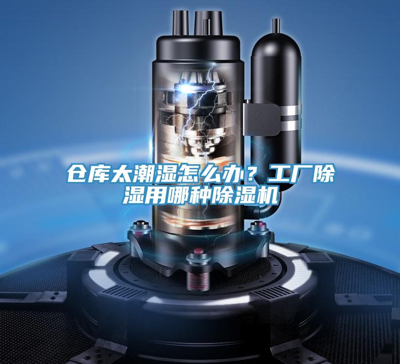 倉庫太潮濕怎么辦？工廠除濕用哪種除濕機