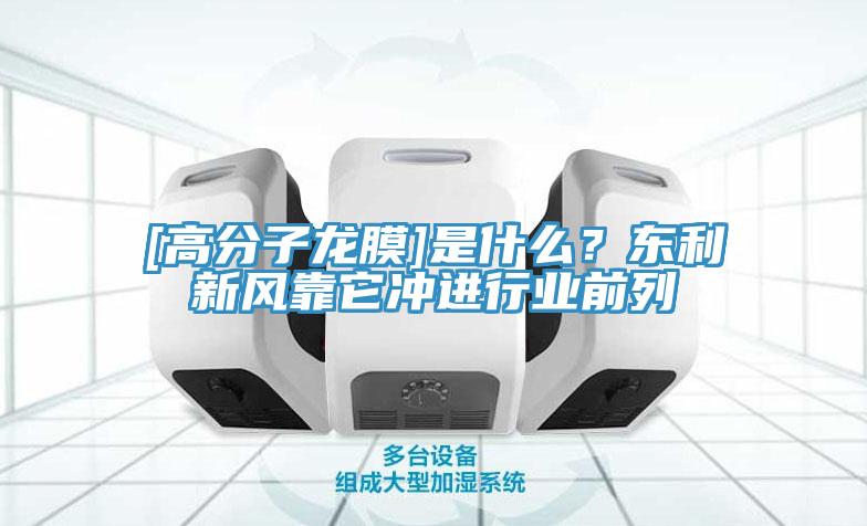 [高分子龍膜]是什么？東利新風(fēng)靠它沖進行業(yè)前列