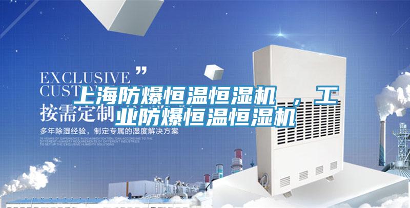 上海防爆恒溫恒濕機(jī) ，工業(yè)防爆恒溫恒濕機(jī)