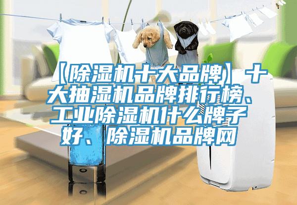 【除濕機十大品牌】十大抽濕機品牌排行榜、工業(yè)除濕機什么牌子好、除濕機品牌網(wǎng)