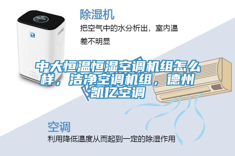 中大恒溫恒濕空調(diào)機(jī)組怎么樣，潔凈空調(diào)機(jī)組，德州凱億空調(diào)