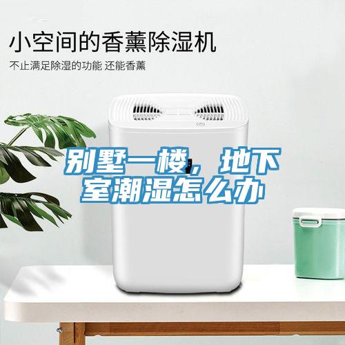 別墅一樓，地下室潮濕怎么辦