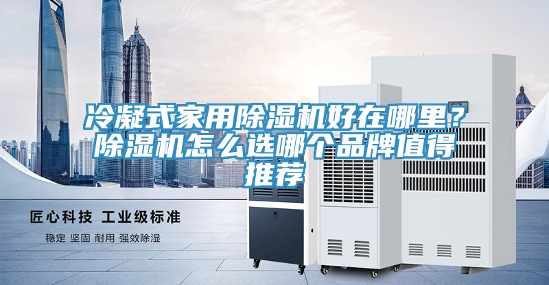 冷凝式家用除濕機好在哪里？除濕機怎么選哪個品牌值得推薦