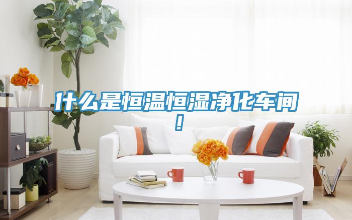什么是恒溫恒濕凈化車間！