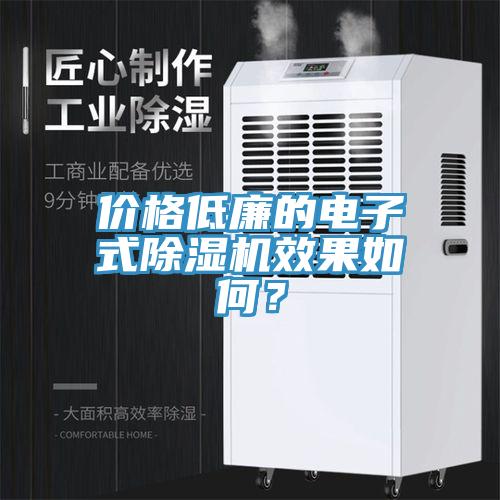 價(jià)格低廉的電子式除濕機(jī)效果如何？