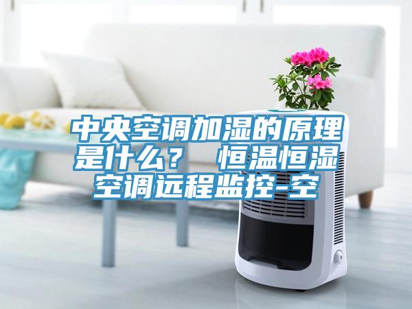 中央空調(diào)加濕的原理是什么？ 恒溫恒濕空調(diào)遠(yuǎn)程監(jiān)控-空