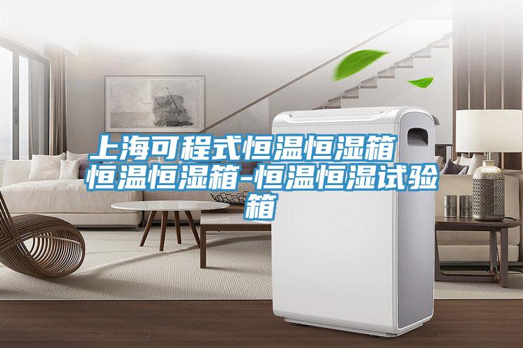 上?？沙淌胶銣睾銤裣? 恒溫恒濕箱-恒溫恒濕試驗(yàn)箱