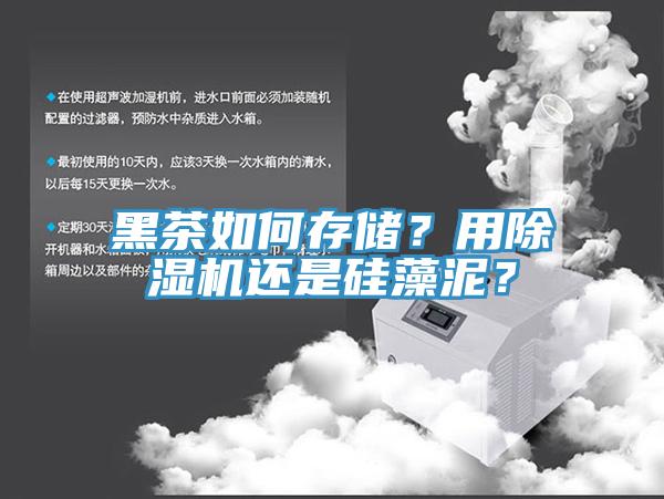 黑茶如何存儲？用除濕機還是硅藻泥？