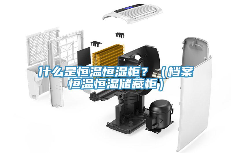 什么是恒溫恒濕柜？（檔案恒溫恒濕儲藏柜）