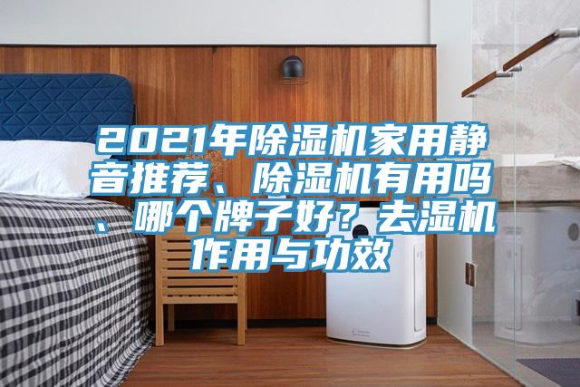 2021年除濕機(jī)家用靜音推薦、除濕機(jī)有用嗎、哪個(gè)牌子好？去濕機(jī)作用與功效