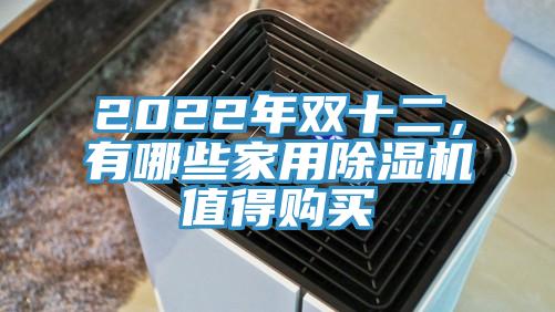 2022年雙十二，有哪些家用除濕機(jī)值得購(gòu)買(mǎi)