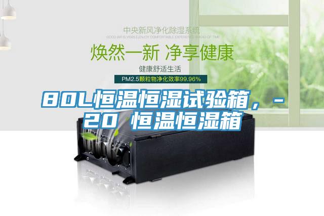 80L恒溫恒濕試驗(yàn)箱，-20℃恒溫恒濕箱