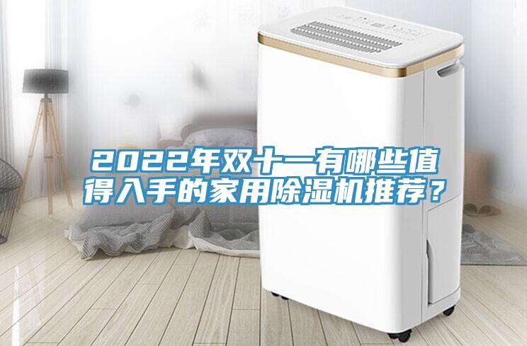 2022年雙十一有哪些值得入手的家用除濕機(jī)推薦？