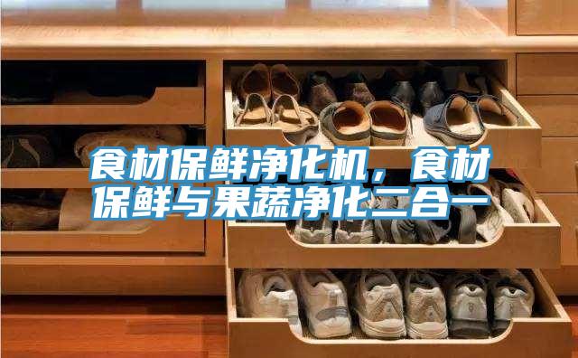 食材保鮮凈化機(jī)，食材保鮮與果蔬凈化二合一