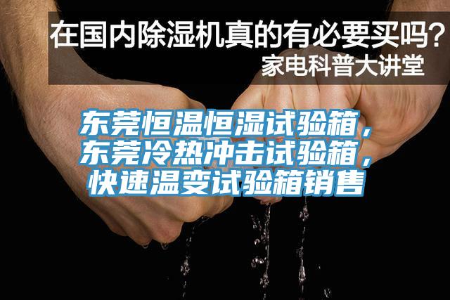 東莞恒溫恒濕試驗(yàn)箱，東莞冷熱沖擊試驗(yàn)箱，快速溫變?cè)囼?yàn)箱銷售
