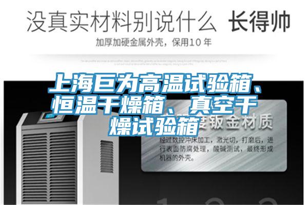 上海巨為高溫試驗(yàn)箱、恒溫干燥箱、真空干燥試驗(yàn)箱