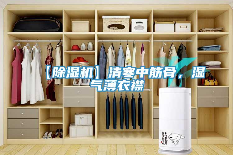 【除濕機(jī)】清寒中筋骨，濕氣薄衣襟