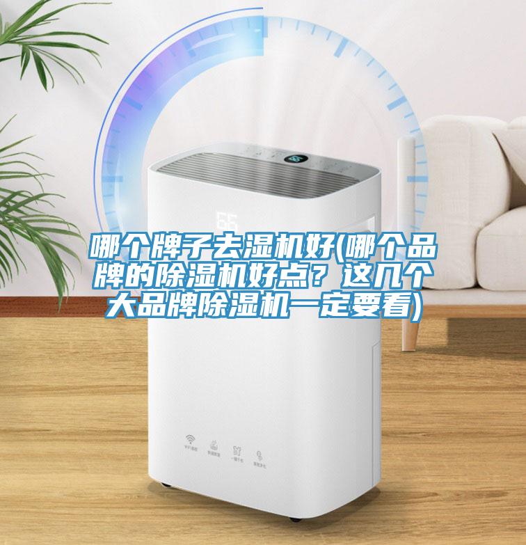 哪個牌子去濕機(jī)好(哪個品牌的除濕機(jī)好點(diǎn)？這幾個大品牌除濕機(jī)一定要看)