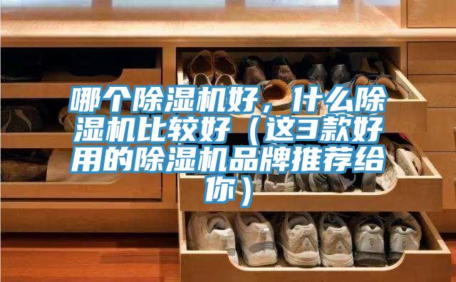 哪個(gè)除濕機(jī)好，什么除濕機(jī)比較好（這3款好用的除濕機(jī)品牌推薦給你）
