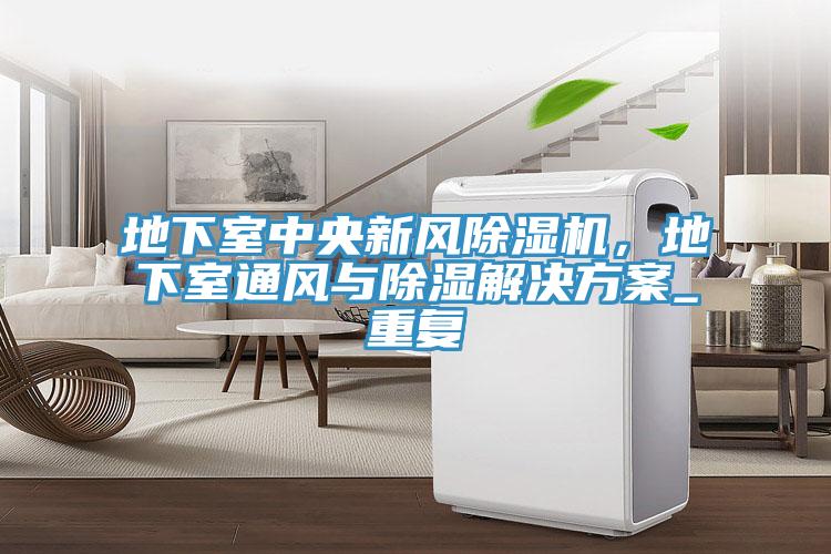 地下室中央新風(fēng)除濕機(jī)，地下室通風(fēng)與除濕解決方案_重復(fù)