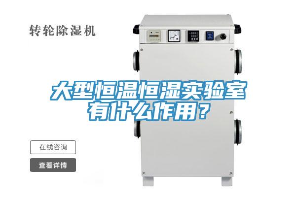 大型恒溫恒濕實(shí)驗(yàn)室有什么作用？
