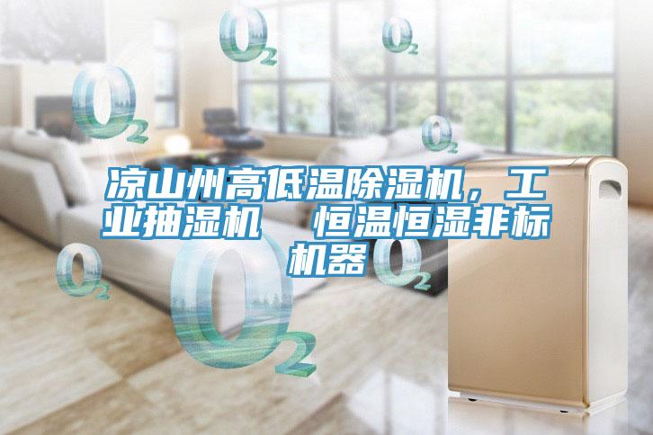 涼山州高低溫除濕機，工業(yè)抽濕機  恒溫恒濕非標機器