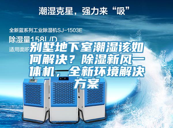 別墅地下室潮濕該如何解決？除濕新風(fēng)一體機，全新環(huán)境解決方案