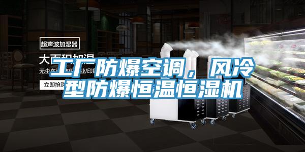 工廠防爆空調(diào)，風冷型防爆恒溫恒濕機