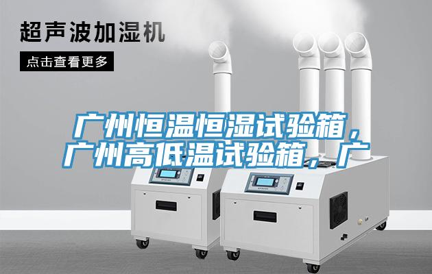 廣州恒溫恒濕試驗(yàn)箱，廣州高低溫試驗(yàn)箱，廣