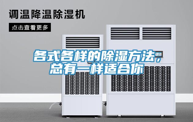 各式各樣的除濕方法，總有一樣適合你