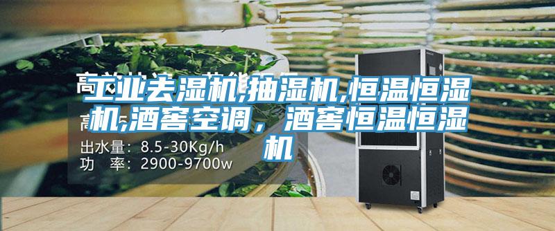 工業(yè)去濕機,抽濕機,恒溫恒濕機,酒窖空調(diào)，酒窖恒溫恒濕機