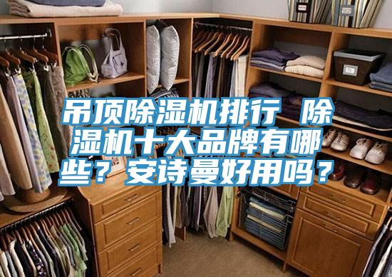 吊頂除濕機排行 除濕機十大品牌有哪些？安詩曼好用嗎？