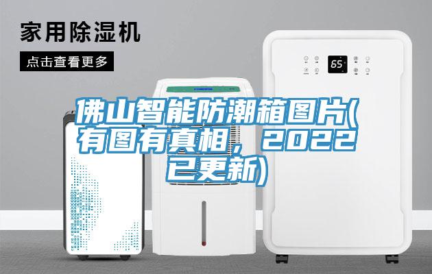 佛山智能防潮箱圖片(有圖有真相，2022已更新)