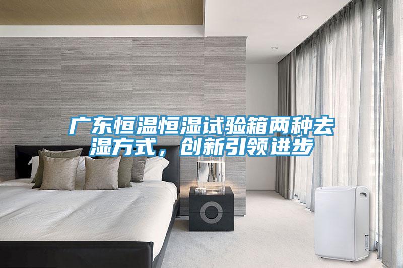 廣東恒溫恒濕試驗箱兩種去濕方式，創(chuàng)新引領(lǐng)進步