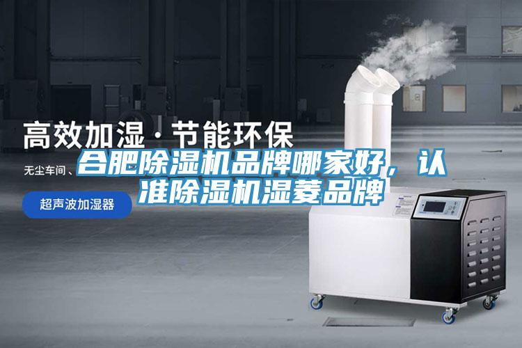 合肥除濕機(jī)品牌哪家好，認(rèn)準(zhǔn)除濕機(jī)濕菱品牌
