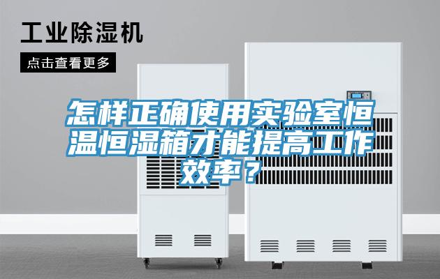 怎樣正確使用實(shí)驗(yàn)室恒溫恒濕箱才能提高工作效率？