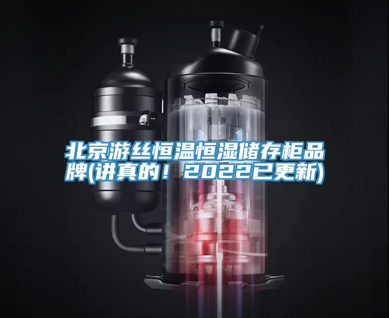 北京游絲恒溫恒濕儲存柜品牌(講真的！2022已更新)