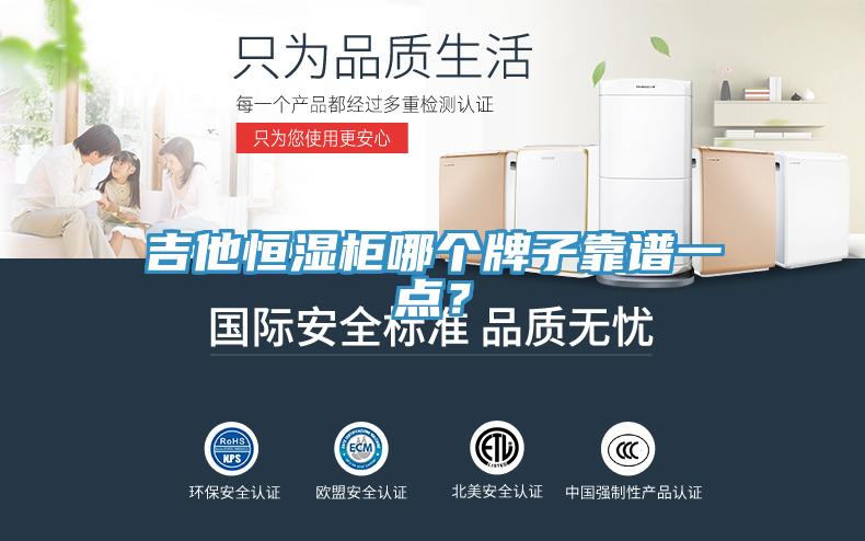 吉他恒濕柜哪個(gè)牌子靠譜一點(diǎn)？