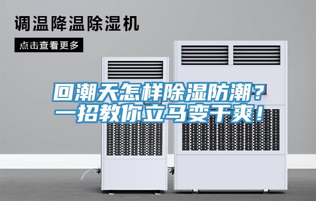 回潮天怎樣除濕防潮？一招教你立馬變干爽！
