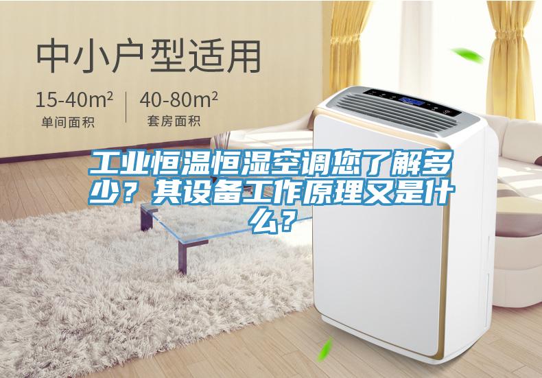 工業(yè)恒溫恒濕空調(diào)您了解多少？其設(shè)備工作原理又是什么？