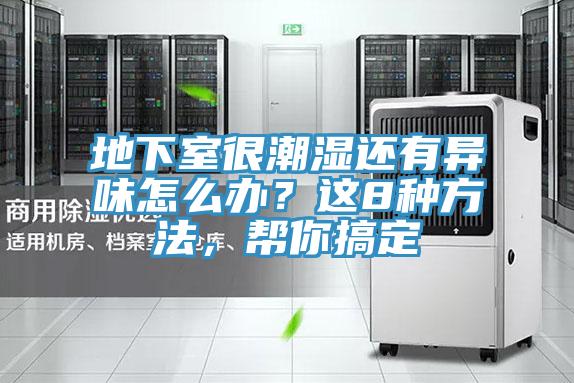 地下室很潮濕還有異味怎么辦？這8種方法，幫你搞定