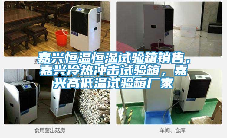 嘉興恒溫恒濕試驗(yàn)箱銷售，嘉興冷熱沖擊試驗(yàn)箱，嘉興高低溫試驗(yàn)箱廠家