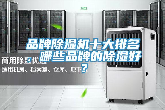 品牌除濕機(jī)十大排名，哪些品牌的除濕好？