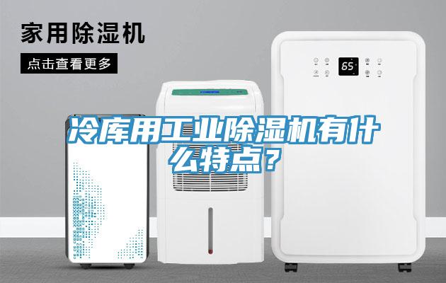 冷庫用工業(yè)除濕機(jī)有什么特點(diǎn)？
