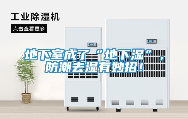 地下室成了“地下濕”，防潮去濕有妙招！
