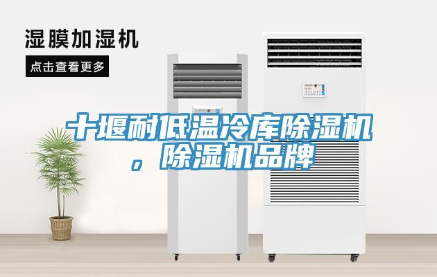 十堰耐低溫冷庫除濕機(jī)，除濕機(jī)品牌
