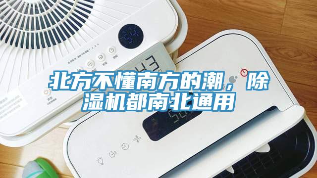北方不懂南方的潮，除濕機(jī)都南北通用